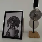 Burro&salvia אוגוסטה